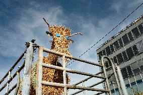 Farmers Mobilize Against Macron In Toulouse - France