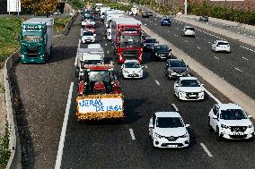 Farmers Mobilize Against Macron In Toulouse - France