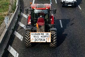 Farmers Mobilize Against Macron In Toulouse - France