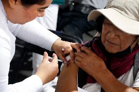 Vaccination Program Against Covid-19 and Influenza - Mexico City