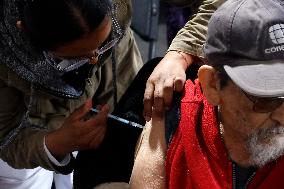 Vaccination Program Against Covid-19 and Influenza - Mexico City