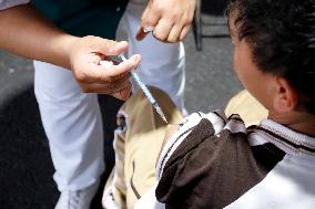 Vaccination Program Against Covid-19 and Influenza - Mexico City