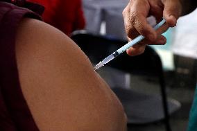 Vaccination Program Against Covid-19 and Influenza - Mexico City