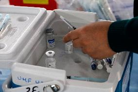 Vaccination Program Against Covid-19 and Influenza - Mexico City