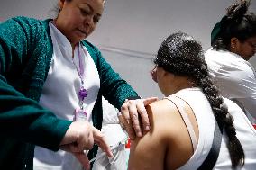 Vaccination Program Against Covid-19 and Influenza - Mexico City