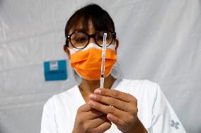 Vaccination Program Against Covid-19 and Influenza - Mexico City