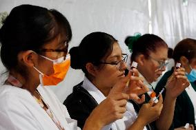 Vaccination Program Against Covid-19 and Influenza - Mexico City