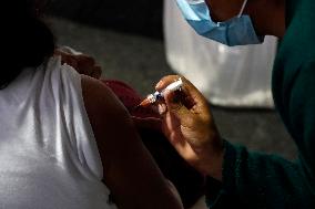Vaccination Program Against Covid-19 and Influenza - Mexico City