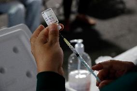 Vaccination Program Against Covid-19 and Influenza - Mexico City