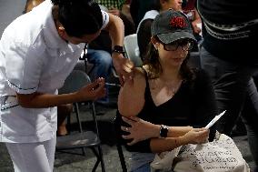 Vaccination Program Against Covid-19 and Influenza - Mexico City
