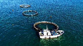 Marine Farms - China