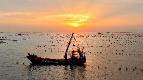 Marine Farms - China