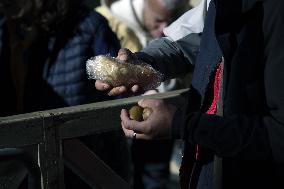 Health Center for Homeless near Vatican - Italy