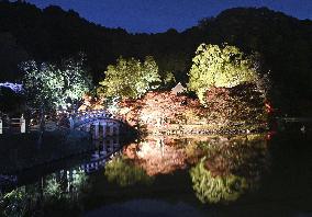 Special light-up at temple in northeastern Japan