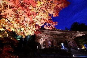 Special light-up at temple in northeastern Japan