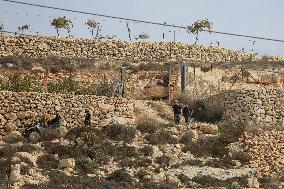 Palestinians Protest Against Israeli Settlers Near Hebron - Palestine