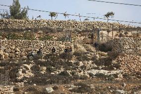 Palestinians Protest Against Israeli Settlers Near Hebron - Palestine