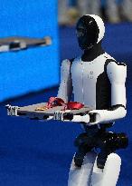 Humanoid Robot Appears At Boxing Awards - Shenzhen