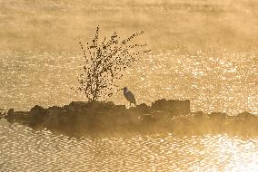 Morning Mist Creates Scenic Views In Yixian - China