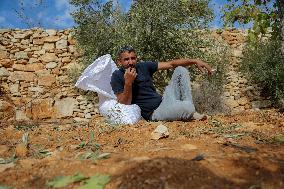 Palestinians Protest Against Israeli Settlers Near Hebron - Palestine