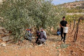 Palestinians Protest Against Israeli Settlers Near Hebron - Palestine