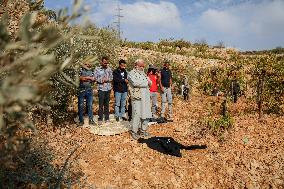 Palestinians Protest Against Israeli Settlers Near Hebron - Palestine