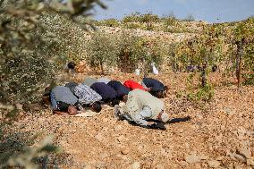 Palestinians Protest Against Israeli Settlers Near Hebron - Palestine