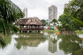Illustration - Ecology in Belem - Brazil