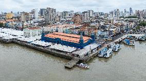 Illustration - Ecology in Belem - Brazil