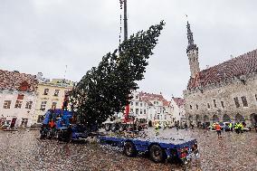 Tallinn's Christmas tree
