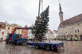 Tallinn's Christmas tree