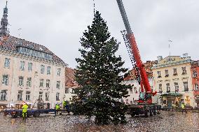 Tallinn's Christmas tree
