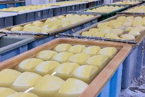 Valio Eesti's new cheese warehouse