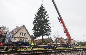 Tallinn's Christmas tree