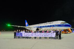 C919 Aircraft Arrives Ahead 2025 Dubai Airshow - Dubai