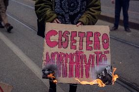 Student Protest Against Meloni And Climate Action - Mila