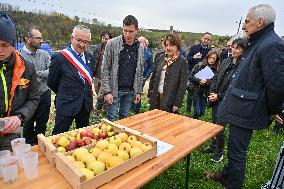 Annie Genevard Visits the Rhone Region - France