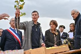 Annie Genevard Visits the Rhone Region - France