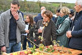 Annie Genevard Visits the Rhone Region - France