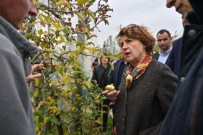 Annie Genevard Visits the Rhone Region - France