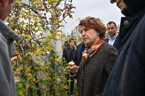 Annie Genevard Visits the Rhone Region - France