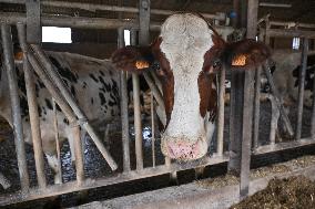 Annie Genevard Visits the Rhone Region - France