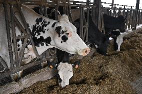 Annie Genevard Visits the Rhone Region - France