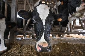 Annie Genevard Visits the Rhone Region - France