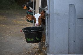 Annie Genevard Visits the Rhone Region - France