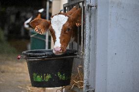 Annie Genevard Visits the Rhone Region - France