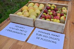 Annie Genevard Visits the Rhone Region - France