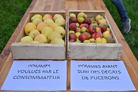 Annie Genevard Visits the Rhone Region - France