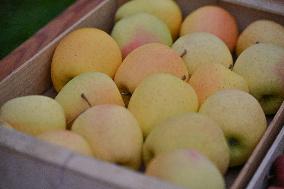 Annie Genevard Visits the Rhone Region - France