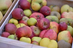 Annie Genevard Visits the Rhone Region - France